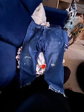 LOFT Plus Indigo Blue Denim Jeans